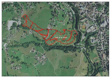 terreni pascolamento ovino