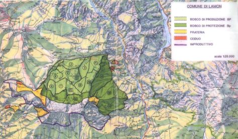 Mappa Lamon